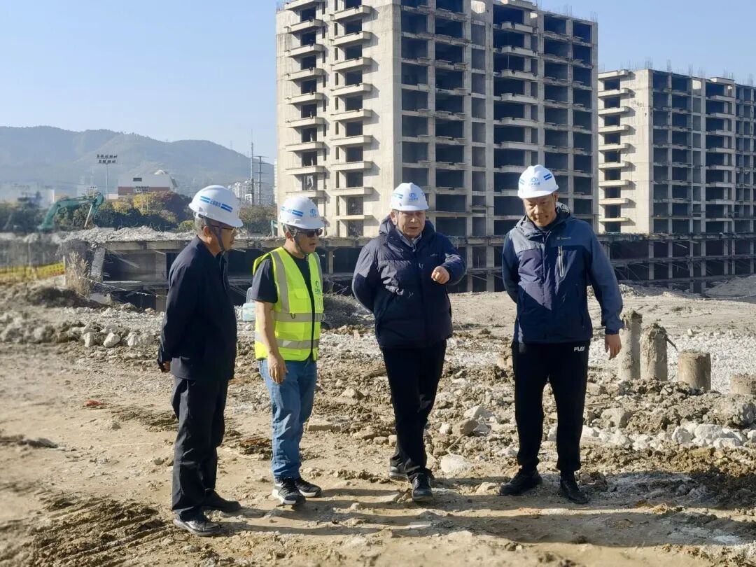 1765509765916601.jpg 6.jpg