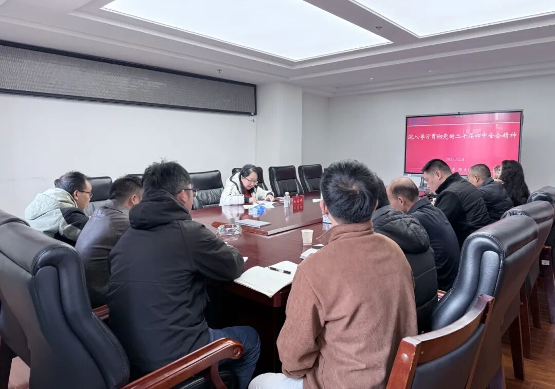 1765510235539373.jpg 2.jpg