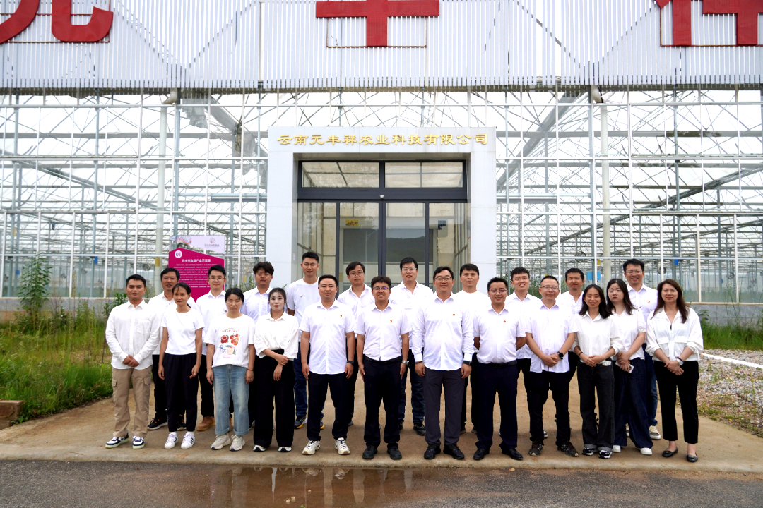 1765511992679144.png 4444.png